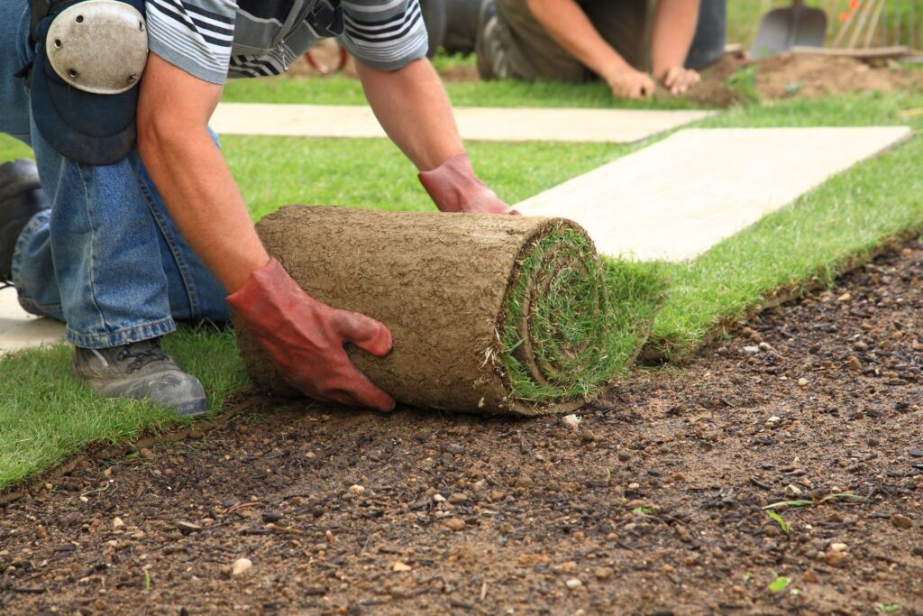 Sod Installation Toronto Sod Toronto Sodding Contractor